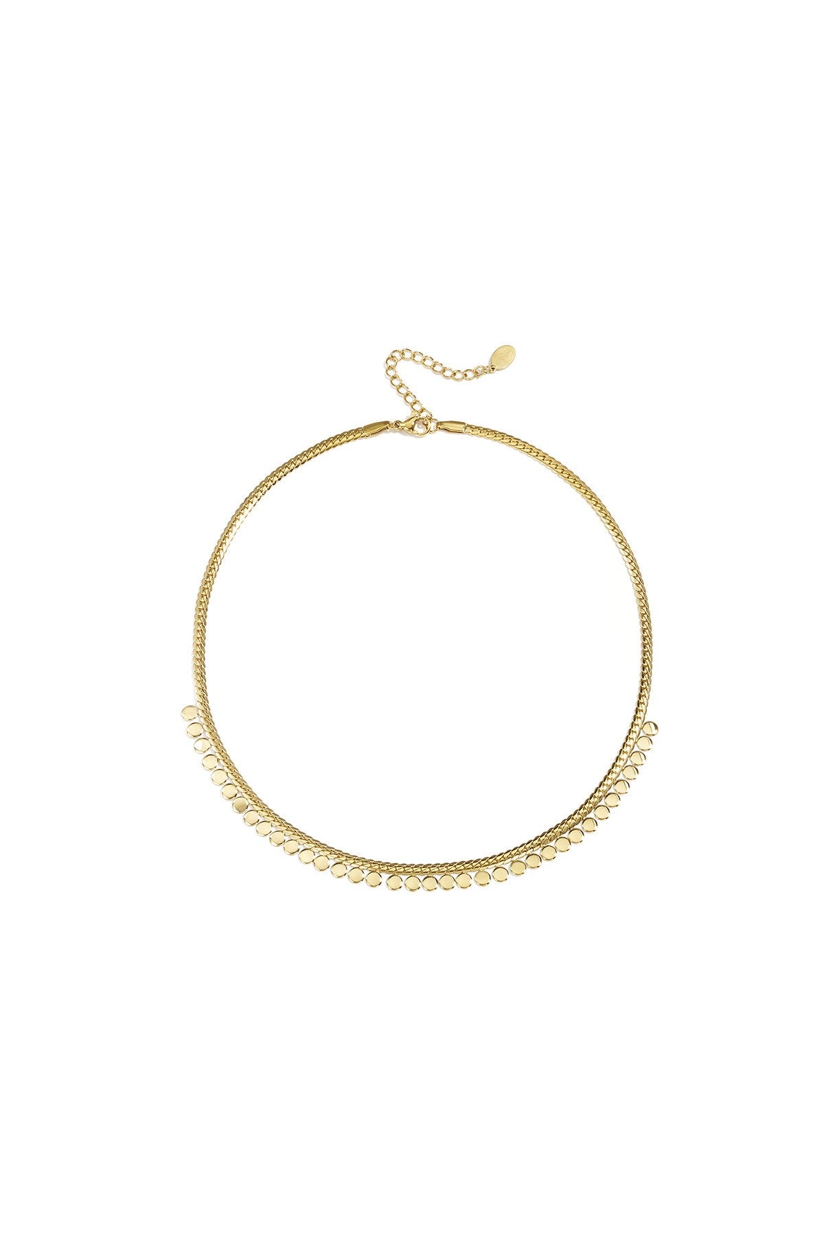 Muntenketting van roestvrij staal