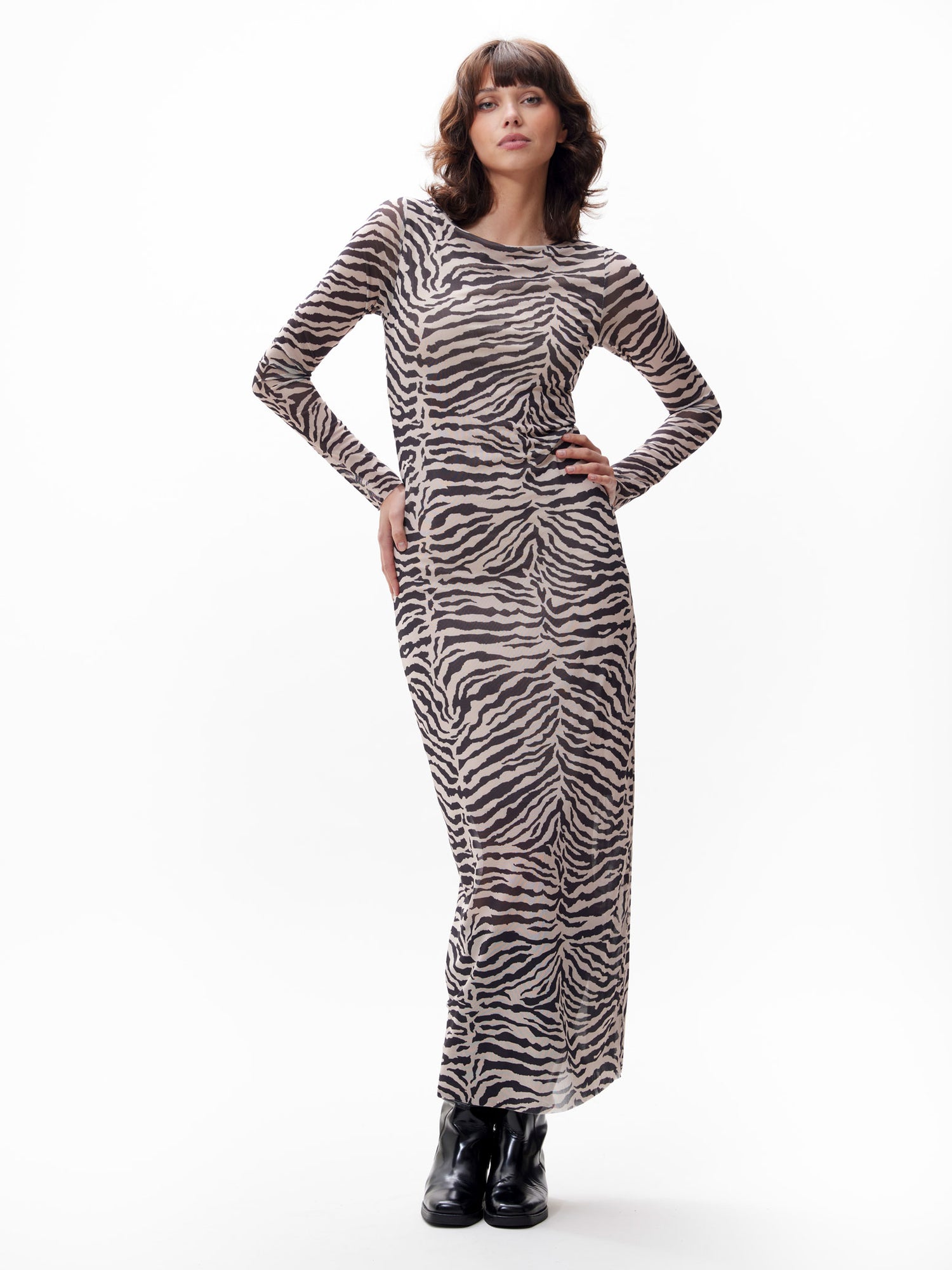 Mesh Zebra Dress