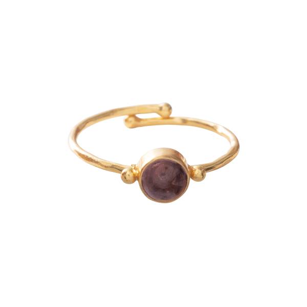 Faithful granaat vergulde ring