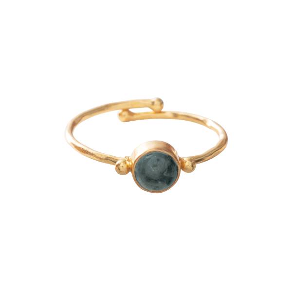 Gouden Ring met Labradoriet