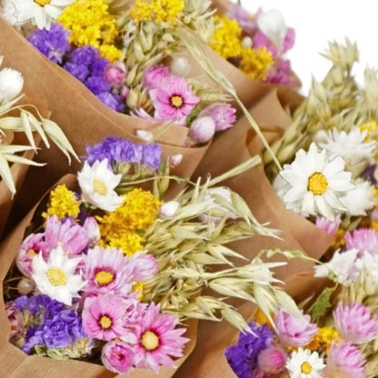 Getrocknete Blumen &