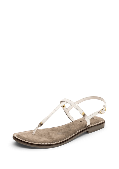 Comfort Crema TS (ohne Topping)